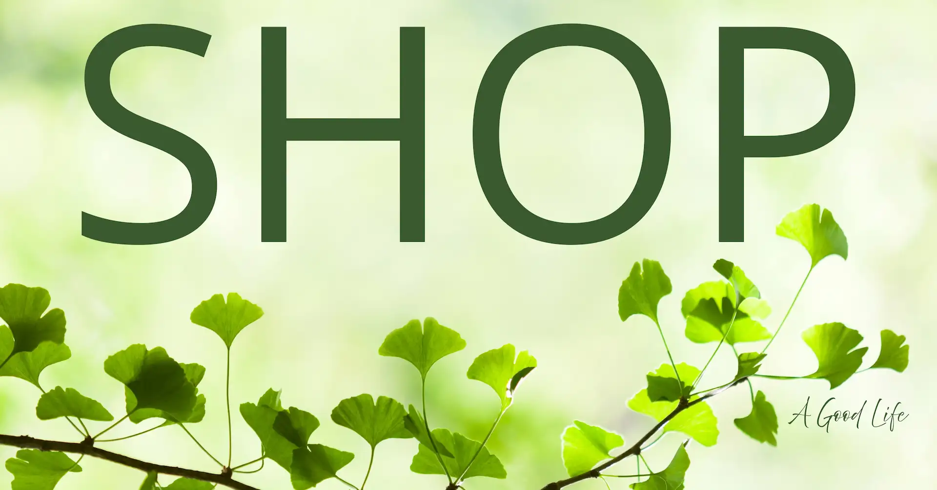AGL Onlineshop-Banner: großer Schriftzug „SHOP“ vor hellem Grün, unten ein Ginkgo-Zweig mit fächerförmigen Blättern und A-Good-Life-Logo.