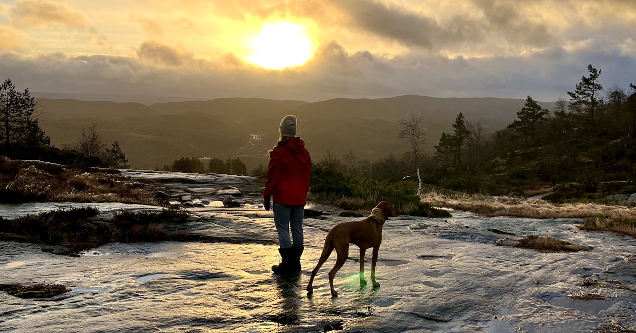 Frau und Hund schauen einem Sonnenuntergang auf einem Felsen entgegen. Das Bild symbolisiert Hoffnung und die positive Wirkung der Natur auf die Psyche.