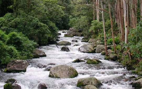 Immunresilienz: Bis zu 15 Jahre länger gesund bleiben