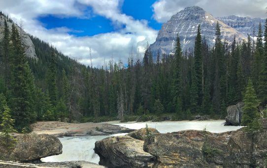 Osteoporose: Calcium, Magnesium & Phosphat im Gleichgewicht