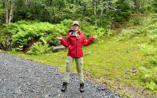 Blutwerte selbst verstehen ohne Arzt – So geht's richtig 